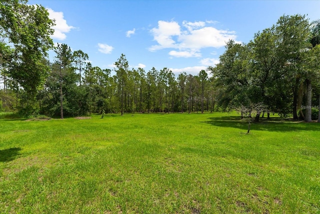 21705 67th Ave E, Bradenton, FL 34211 - view of green lawn