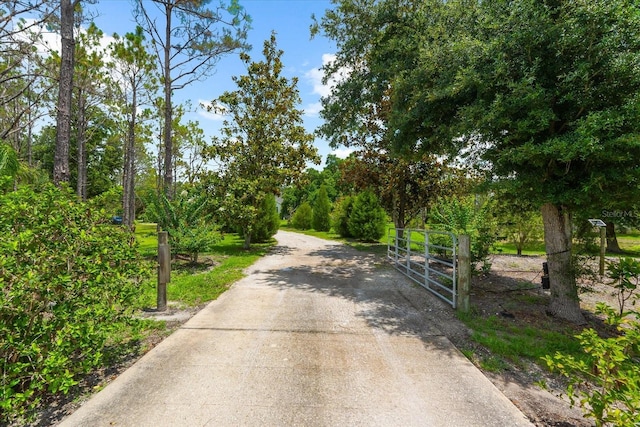 21705 67th Ave E, Bradenton, FL 34211 - view of road