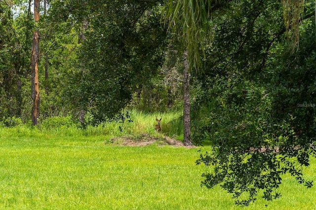 21705 67th Ave E, Bradenton, FL 34211 - view of undeveloped land
