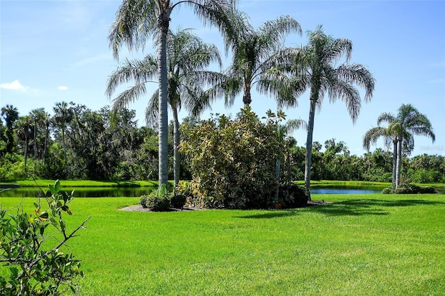 2338 Little Country Rd, Parrish, FL 34219 - photo 46