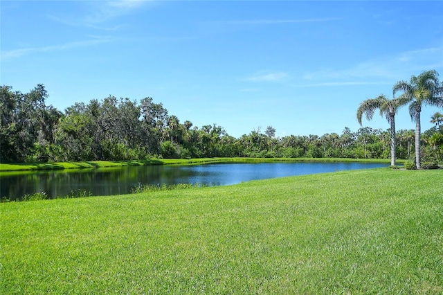 2338 Little Country Rd, Parrish, FL 34219 - photo 47