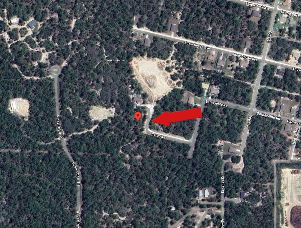 12160 Sora Ave, Brooksville, FL 34614 - photo 3