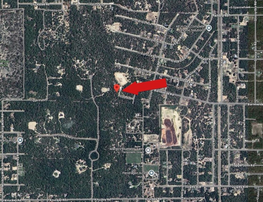 12160 Sora Ave, Brooksville, FL 34614 - photo 4