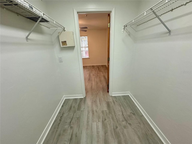 2360 SW Archer Rd Unit 206, Gainesville, FL 32608 - spacious closet featuring wood finished floors and a ceiling fan