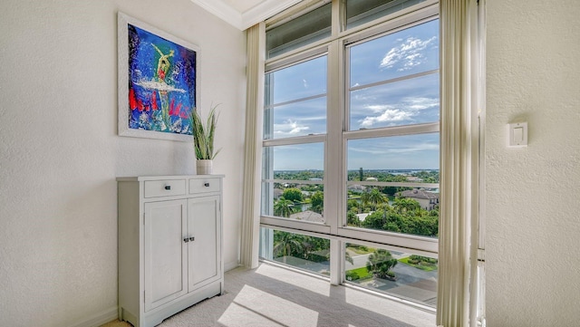 1 Benjamin Franklin Dr Unit 93, Sarasota, FL 34236 - detailed view of a textured wall and carpet