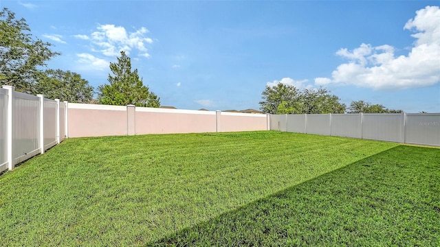 3813 Willow Branch Pl, Palmetto, FL 34221 - view of fenced backyard