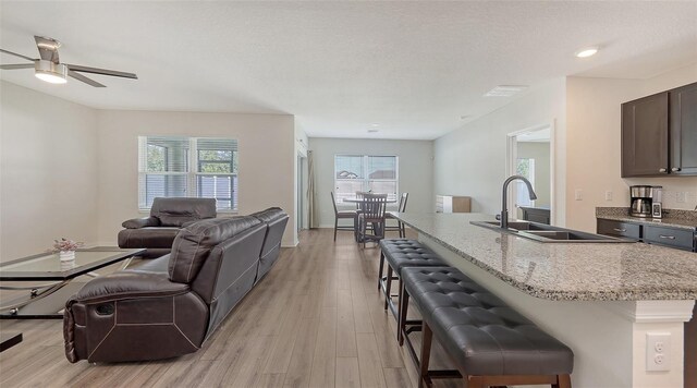 3813 Willow Branch Pl, Palmetto, FL 34221 - living area featuring light wood-style flooring and ceiling fan