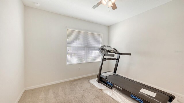 3813 Willow Branch Pl, Palmetto, FL 34221 - exercise room with carpet and a ceiling fan