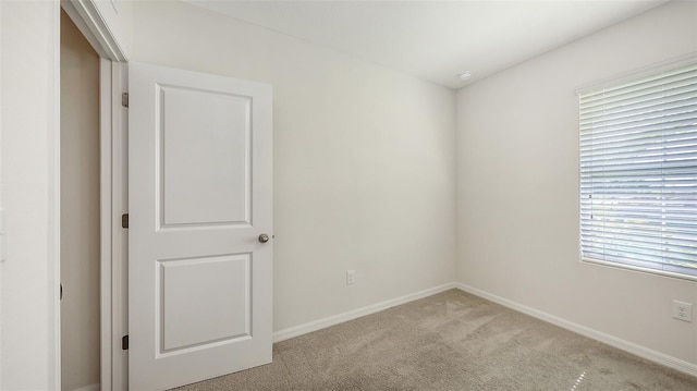 3813 Willow Branch Pl, Palmetto, FL 34221 - carpeted empty room with baseboards