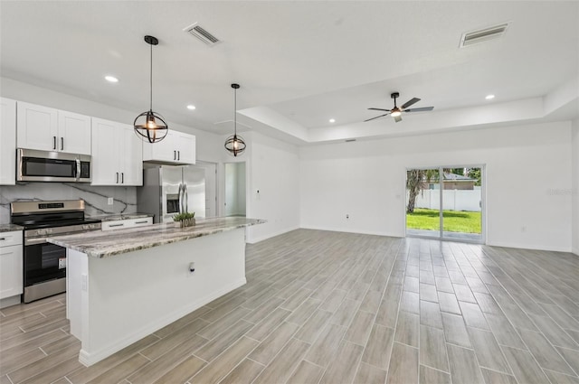 4855 Dragon St, North Port, FL 34288 - kitchen with stainless steel appliances, a tray ceiling, open floor plan, light wood-type flooring, and recessed lighting