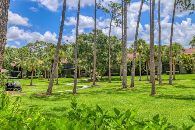 924 La Costa Cir Unit 4, Sarasota, FL 34237 - photo 27
