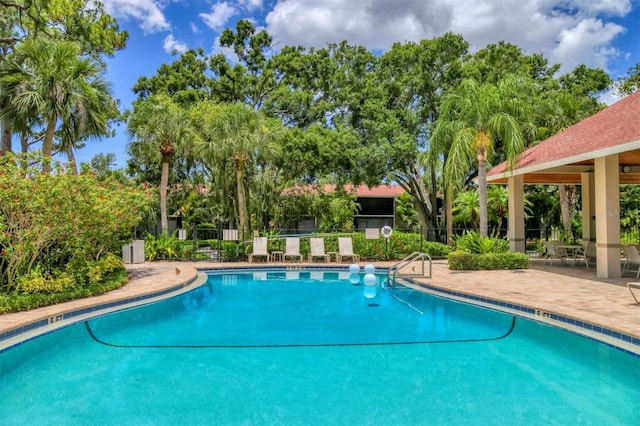 924 La Costa Cir Unit 4, Sarasota, FL 34237 - photo 41