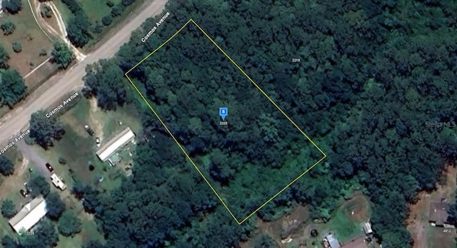 2223 Cosmos Ave, Middleburg, FL 32068 - photo 1