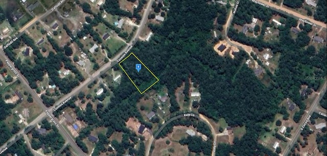 2223 Cosmos Ave, Middleburg, FL 32068 - photo 3