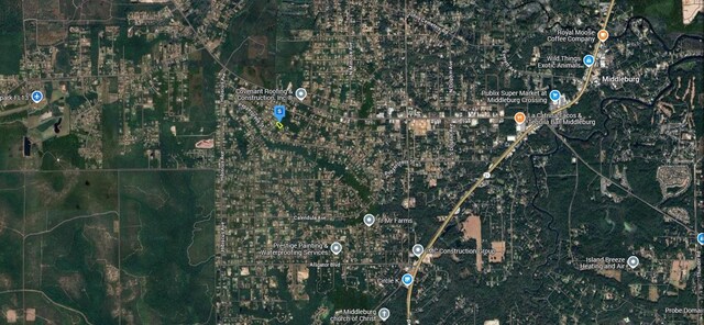 2223 Cosmos Ave, Middleburg, FL 32068 - photo 5