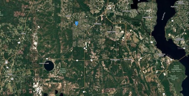2223 Cosmos Ave, Middleburg, FL 32068 - photo 6
