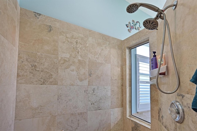 10571 Old Grove Cir, Bradenton, FL 34212 - full bath featuring tiled shower