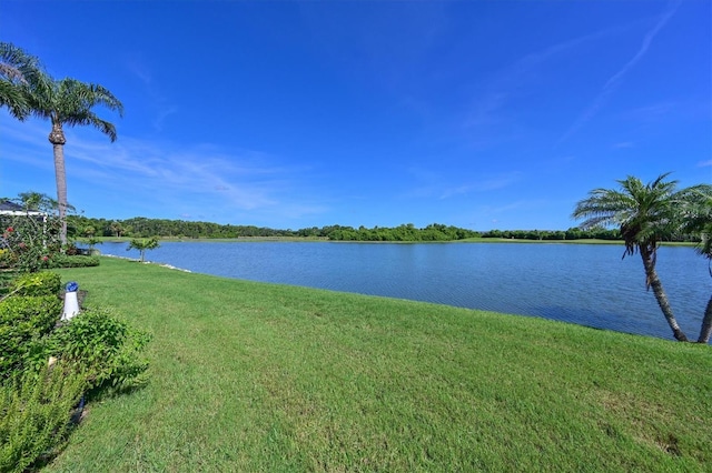 10571 Old Grove Cir, Bradenton, FL 34212 - water view