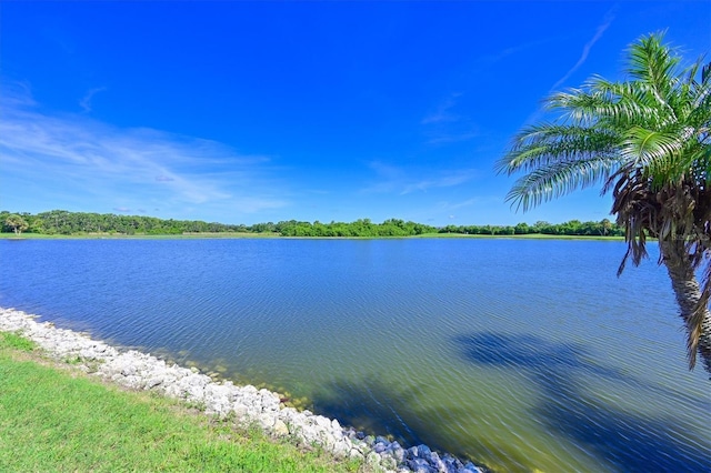 10571 Old Grove Cir, Bradenton, FL 34212 - water view