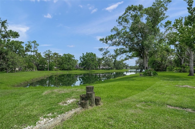 7421 Weeping Willow Blvd, Sarasota, FL 34241 - photo 42