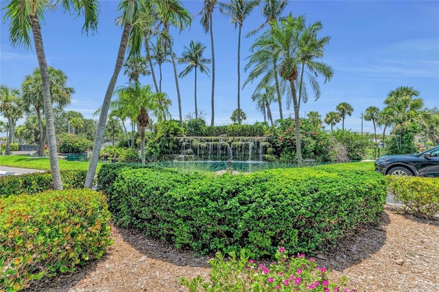 5855 Midnight Pass Rd Unit 416, Sarasota, FL 34242 - surrounding community