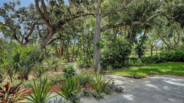6206 Stillwater Ct, University Park, FL 34201 - view of patio