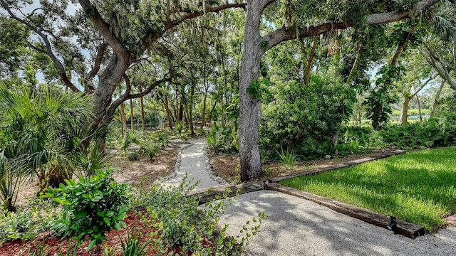 6206 Stillwater Ct, University Park, FL 34201 - view of yard