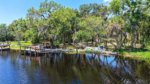 6206 Stillwater Ct, University Park, FL 34201 - water view with a tree filled landscape