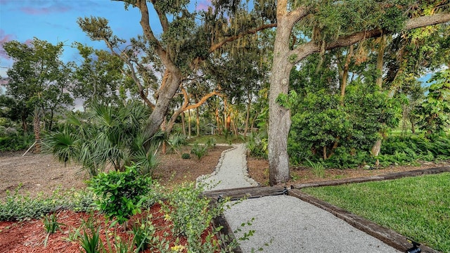 6206 Stillwater Ct, University Park, FL 34201 - view of yard