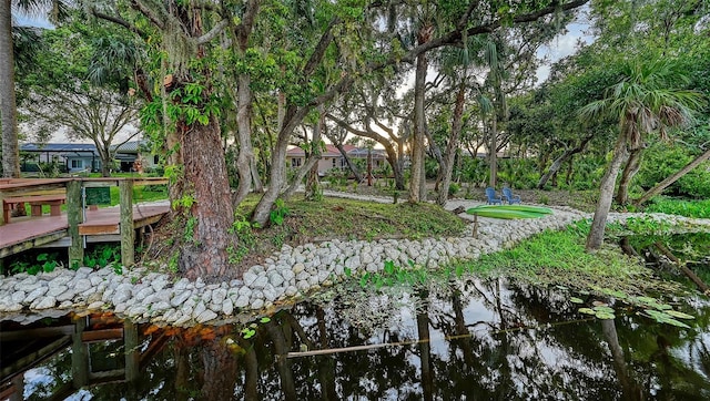 6206 Stillwater Ct, University Park, FL 34201 - view of yard