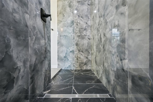 2523 Hagerick Ln, North Port, FL 34288 - full bath featuring a marble finish shower