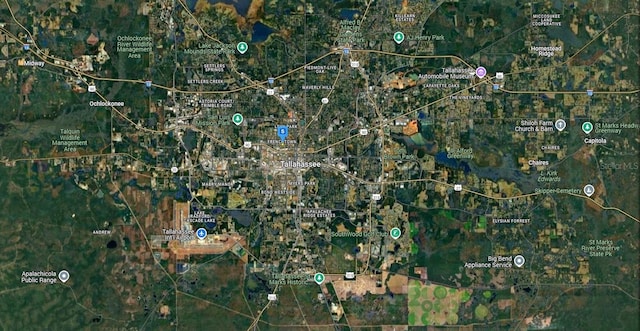 632 W Brevard St, Tallahassee, FL 32304 - photo 6