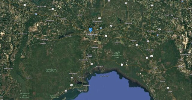 632 W Brevard St, Tallahassee, FL 32304 - photo 7