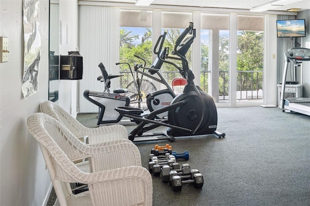 6415 Midnight Pass Rd Unit 502, Sarasota, FL 34242 - workout area with carpet floors