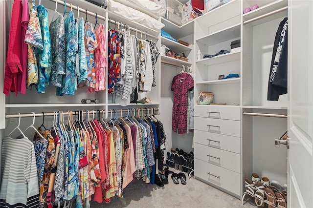 4961 Seafoam Trl, Bradenton, FL 34211 - walk in closet with carpet