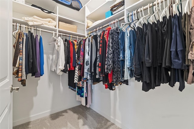 4961 Seafoam Trl, Bradenton, FL 34211 - walk in closet featuring carpet