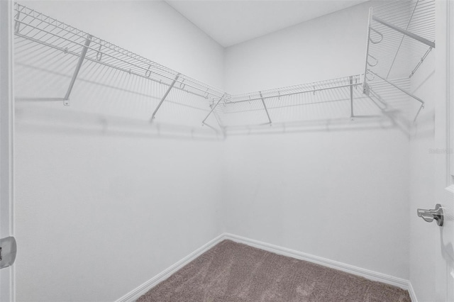 7352 Cabin Ln, Sarasota, FL 34240 - walk in closet featuring carpet flooring