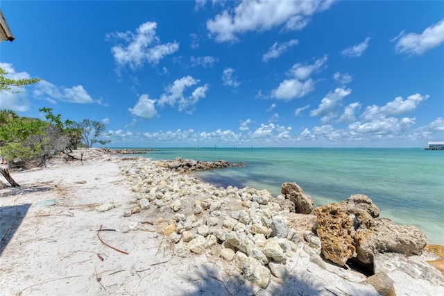 258 Sherwood Dr Unit 258, Bradenton, FL 34210 - photo 40