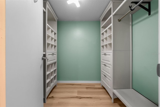 6061 Fairway Ln Unit 1411, Bradenton, FL 34210 - walk in closet with light wood-style flooring