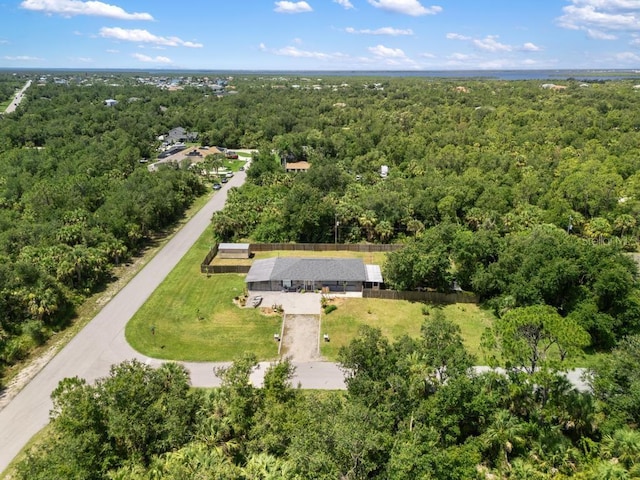 17211 Drayton Ln, Port Charlotte, FL 33948 - drone / aerial view of a forest