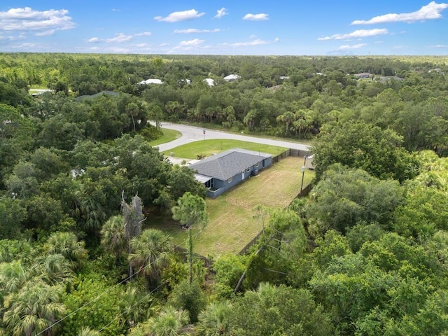 17211 Drayton Ln, Port Charlotte, FL 33948 - view of subject property with a heavily wooded area