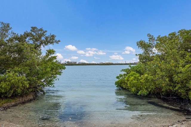 8985 Pohoy Ave, Sarasota, FL 34231 - water view