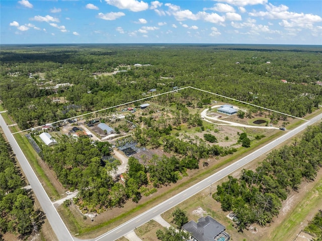 8146 Tropicaire Blvd, North Port, FL 34291 - aerial overview of property's location with a forest and property boundaries highlighted