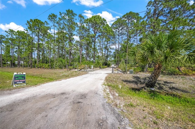 8146 Tropicaire Blvd, North Port, FL 34291 - view of road