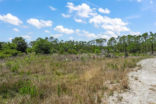 8146 Tropicaire Blvd, North Port, FL 34291 - view of undeveloped land