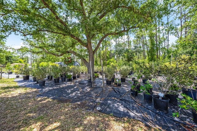 8146 Tropicaire Blvd, North Port, FL 34291 - view of yard featuring a patio