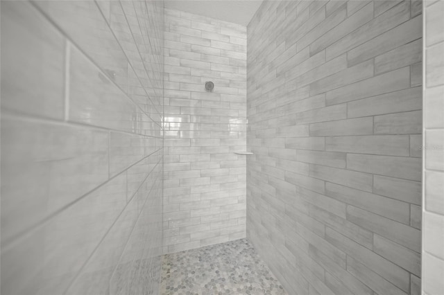 8146 Tropicaire Blvd, North Port, FL 34291 - bathroom featuring a tile shower