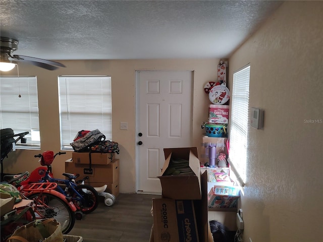 1423 17th Ave E, Bradenton, FL 34208 - foyer featuring healthy amount of natural light, wood finished floors, ceiling fan, and a textured ceiling