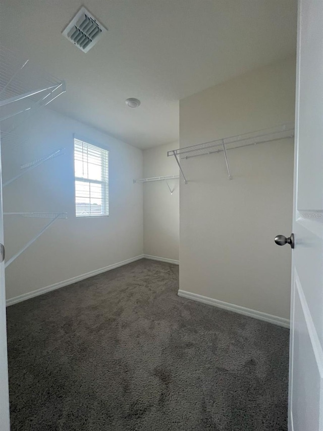 2824 Rock Sound St, Bradenton, FL 34208 - walk in closet featuring carpet floors
