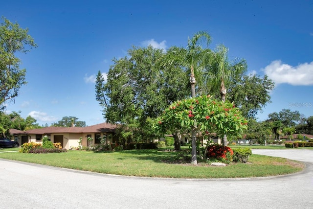 6504 Heritage Ln Unit 99, Bradenton, FL 34209 - view of front of house with a front lawn and stucco siding